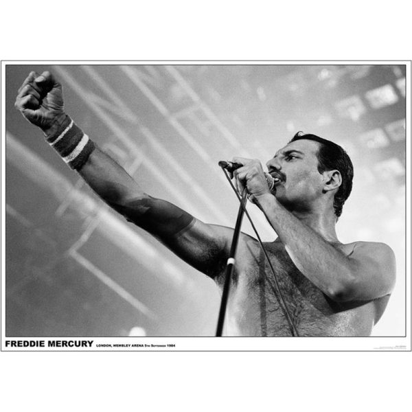 Постер Freddie Mercury Queen