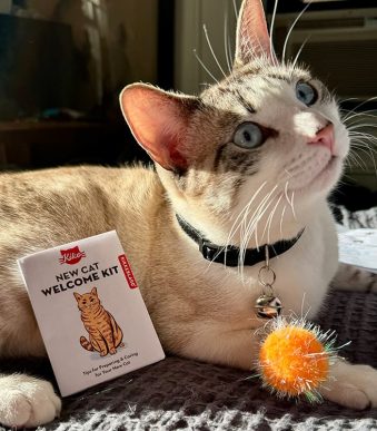 Комплект за посрещане на домашна котка