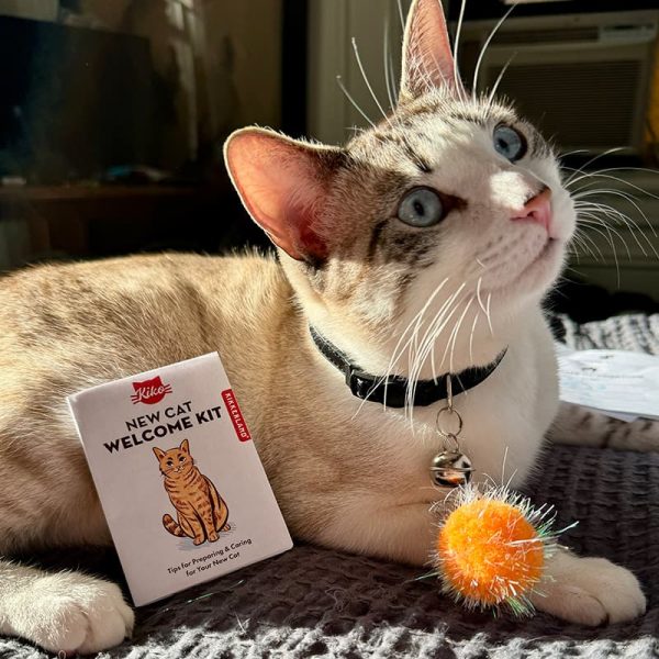 Комплект за посрещане на домашна котка